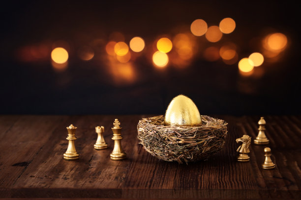 金蛋在巢里。投资、储蓄和养老金的概念图片下载