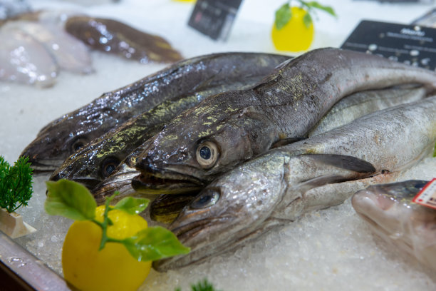 法国鱼市的冰海鲜图片下载