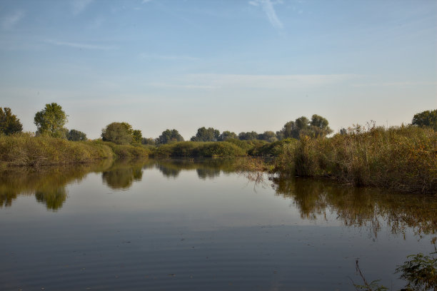 秋天早晨的泥炭沼泽中的盆地图片下载