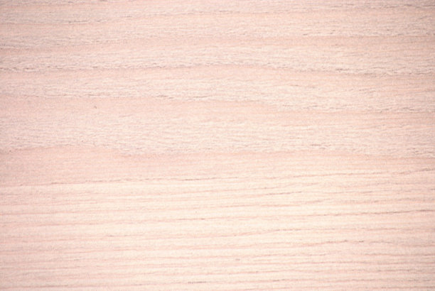 淡山毛榉，淡粉色图案与自然木材波浪特写。图片下载