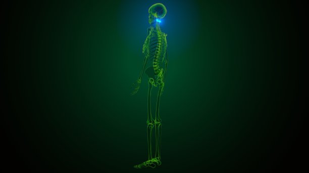 人体骨骼颈椎骨解剖的3d渲染图片下载