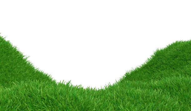 山上的绿草地。自然的成分。三维渲染图片下载