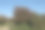 一种普通山楂树的秋天红浆果(山楂)，生长在英格兰西萨塞克斯南部丘陵的魔鬼堤的白垩草原上图片下载
