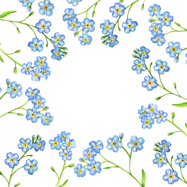 水彩画野花图片下载