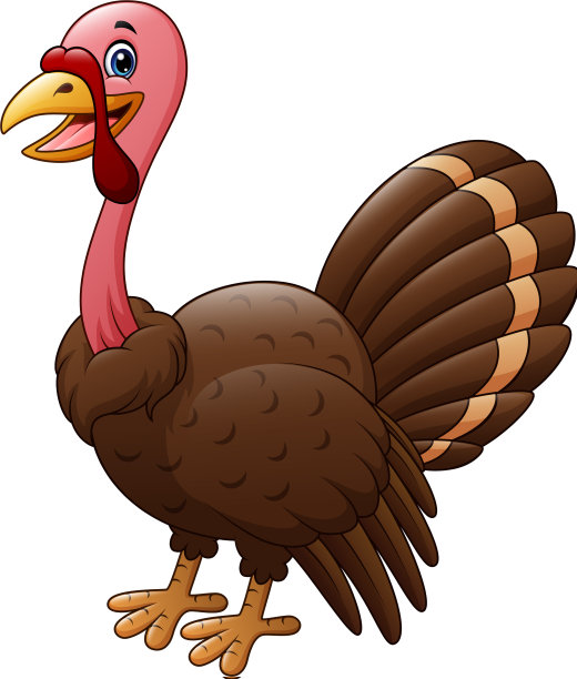 卡通微笑的火鸡孤立在白色的巴图片下载