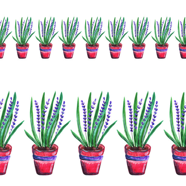 无缝的边界。薰衣草的花。精致的芬芳的花朵。完美的浪漫，有机，生态设计，婚礼邀请，书籍页，贺卡，花店，包装纸和标签装饰。图片下载