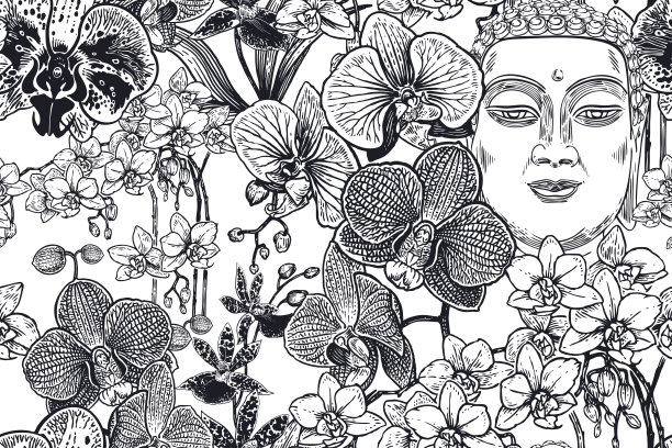 无缝的背景与热带花卉兰花和佛。向量。图片下载