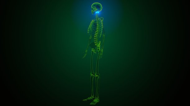 人体骨骼颈椎骨解剖的3d渲染图片下载