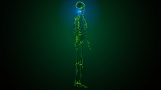 人体骨骼颈椎骨解剖的3d渲染图片下载