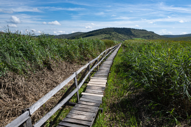 从罗马尼亚克卢日的Sic穿过read保留区的非常长的木桥图片下载