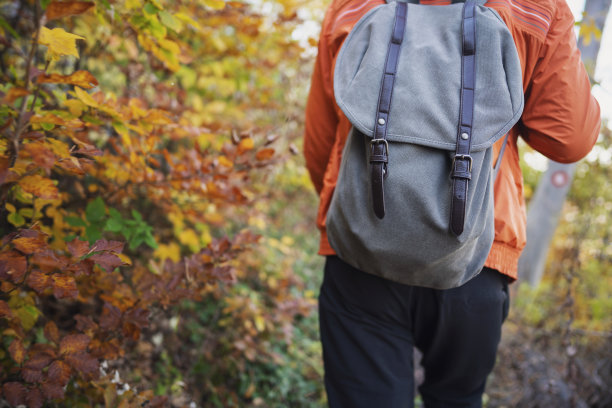 一个不认识的人与背包徒步旅行在一个秋天的一天的自然特写图片下载