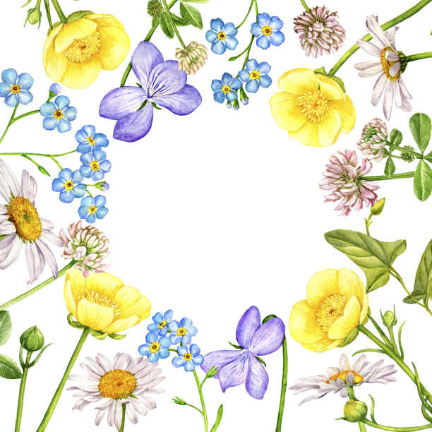 水彩画野花图片下载