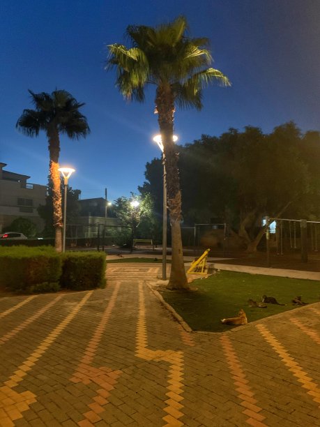 夜之美图片下载