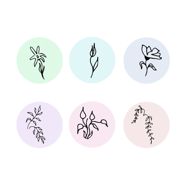 一组植物在一个圈突出。一套植物图片，用于故事图片下载