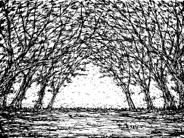 树素描涂鸦森林插图手绘图片下载