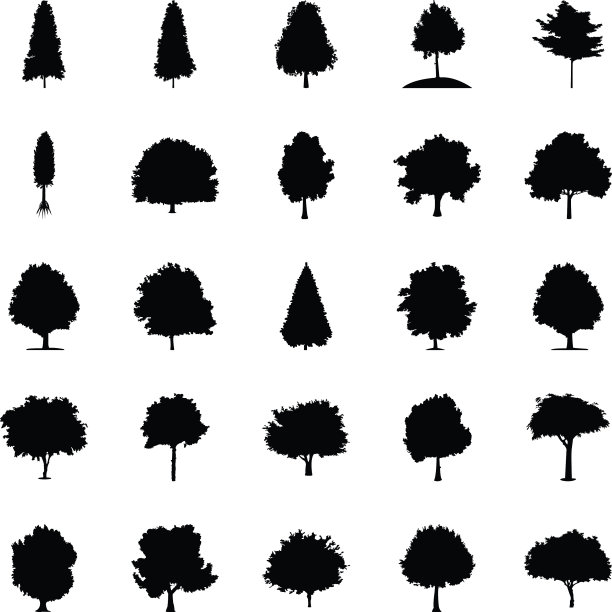 树木了图片下载