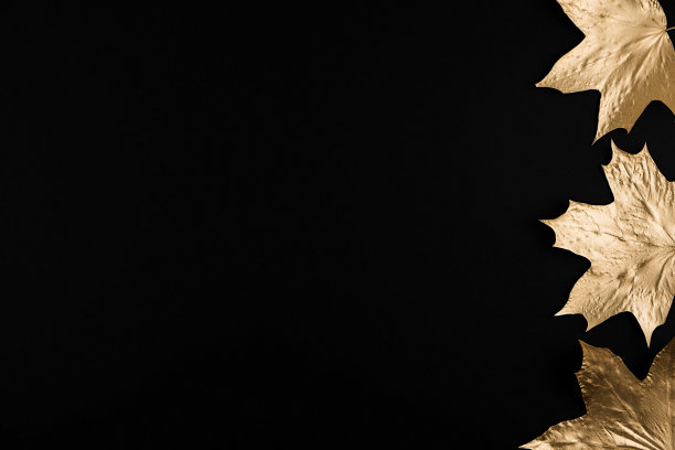 秋天的成分。框架由秋天金黄色的枫叶在黑色的背景。平铺，俯视图，拷贝空间图片下载