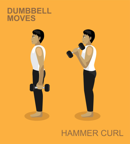 Hammer Curl Dumbbell Moves Manga Gym Set插图图片下载