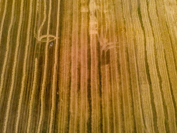 田野俯视图照片从无人机图片下载