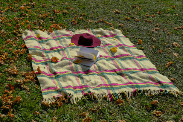 读书，周末在秋天公园。方格毛边毯子，红色毡帽，打开的黄色落叶书。副本的空间。背景图片下载