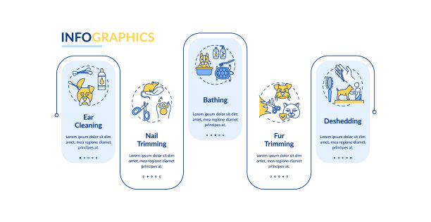 梳理服务类型矢量信息图表模板图片下载