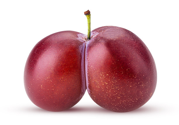 新鲜的李子图片下载