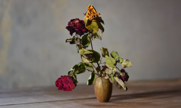 在一个小花瓶里放干花作为我们爱情的象征图片下载