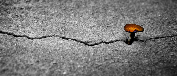 这是一堵旧墙的细节照片，墙上有一颗生锈的钉子图片下载