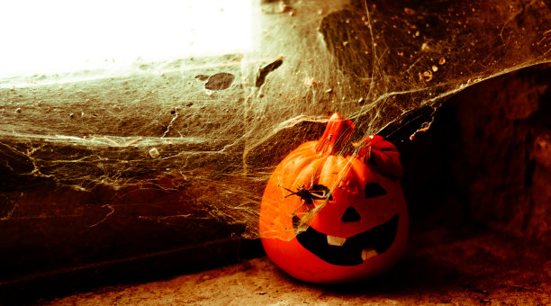 蜘蛛网覆盖了万圣节的南瓜图片下载