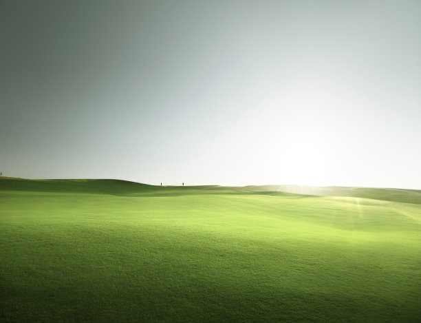 春天的草地，高尔夫球场图片下载