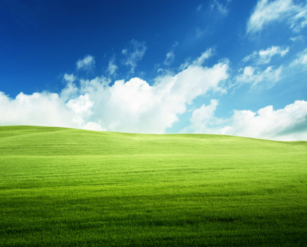 草地和完美的蓝天图片下载