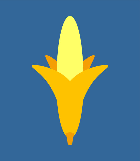 香蕉离体开放果实成熟胎儿图片下载