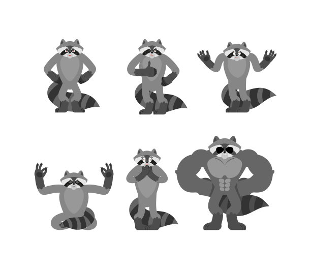 浣熊摆姿势，浣熊开心和瑜伽浣熊图片下载