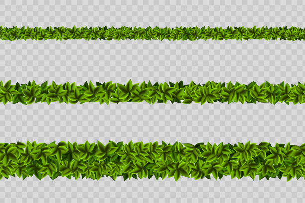 绿色叶子的藤蔓花环。矢量图图片下载