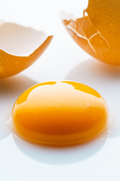 白色背景的新鲜鸡蛋图片下载