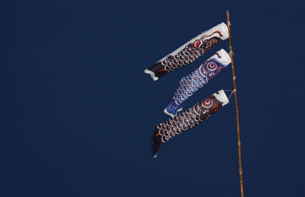 象征花哨的垃圾风筝与风在蓝色的背景图片下载