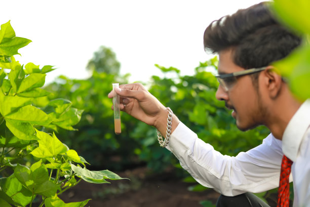 年轻的印度农学家带着试管，农业和科学概念。图片下载