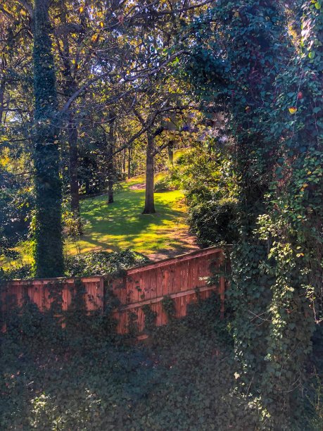 在小石城社区的庭院景观图片下载