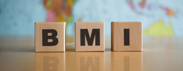 在一幅政治地图的背景上，孤立的木方上的题词BMI。图片下载