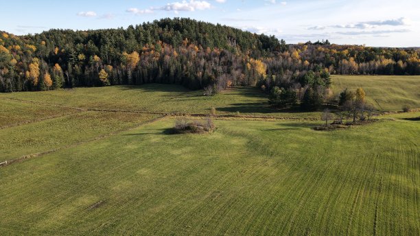 农田和五颜六色的树木图片下载