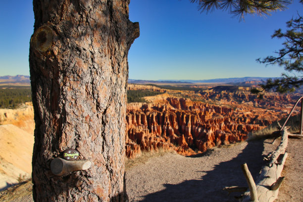 美国犹他州布莱斯峡谷国家公园奇妙的红色胡芦巴和明亮的光线图片下载