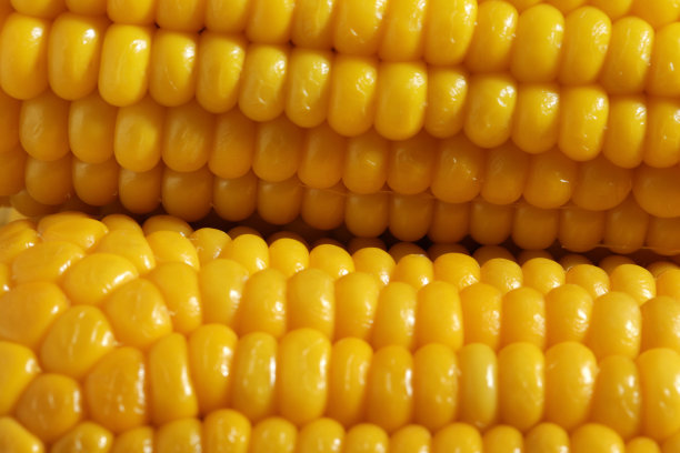 煮熟的玉米，健康纯素零食图片下载