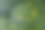 污染的液体。粒子、气泡和流体的系列照片。抽象的背景。图片下载