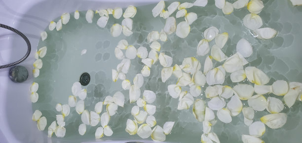 沐浴满水和白色玫瑰花瓣，放松图片下载