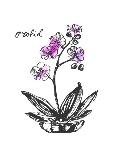 一套向量手绘水墨线条艺术和水彩染色花图片下载