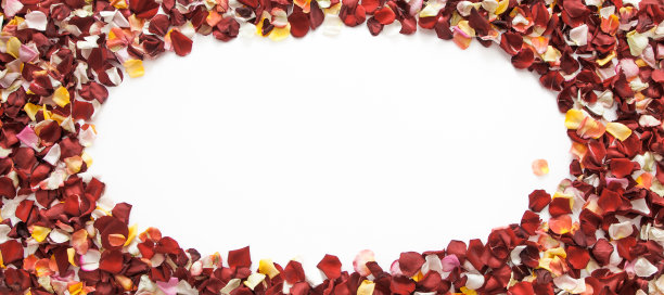 椭圆形框架的混合新鲜玫瑰花瓣在白色的背景与复制空间图片下载