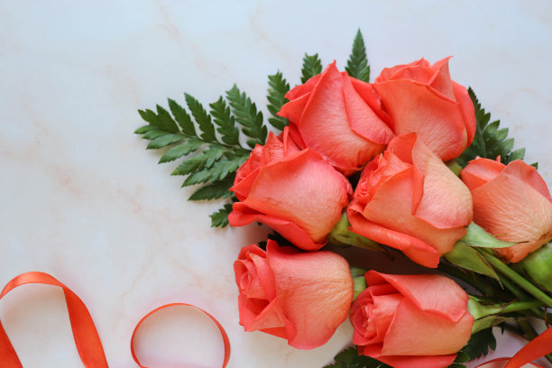 玫瑰花束孤立在白色背景和文字空间图片下载