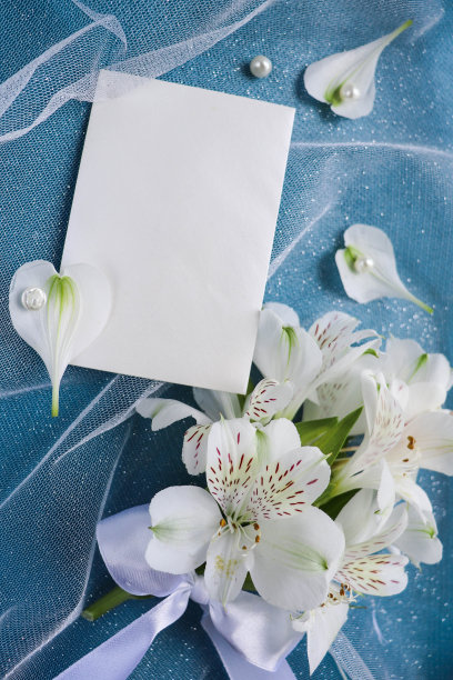 玫瑰花束孤立在白色背景和文字空间图片下载