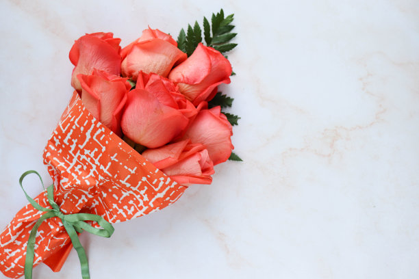 玫瑰花束孤立在白色背景和文字空间图片下载