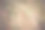 枝上有红枸杞。秋天成熟的浆果图片下载
